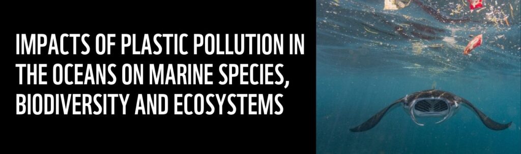 Impacts of Plastic Pollution on Biodiversity