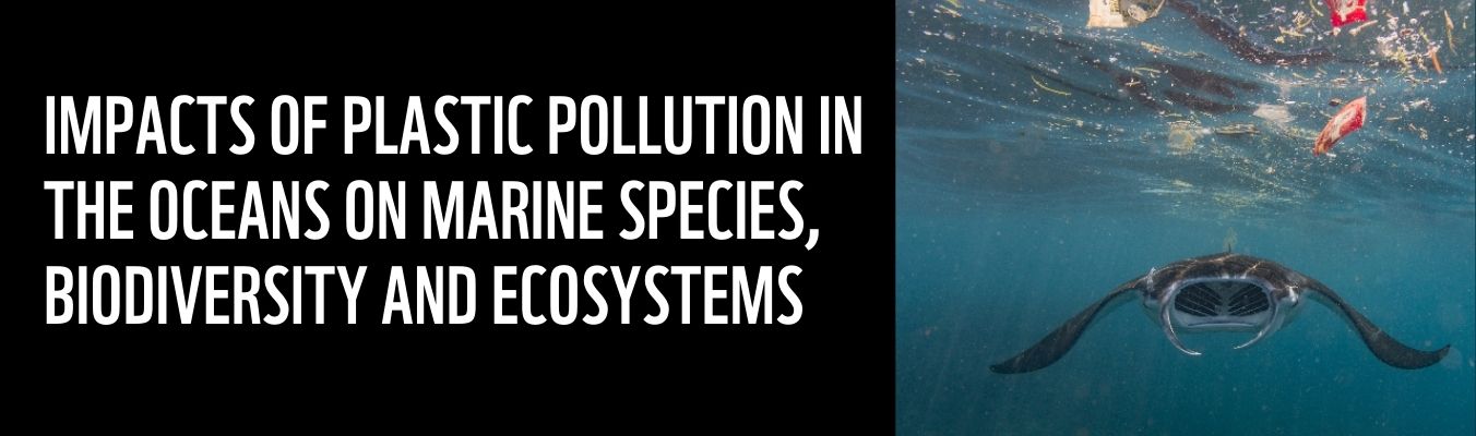 REPORT - IMPACTS OF PLASTIC POLLUTION IN THE OCEANS ON MARINE SPECIES, BIODIVERSITY AND ECOSYSTEMS