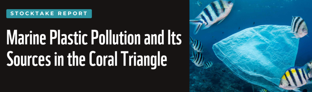 Marine Plastic Pollution and Its Sources in the Coral Triangle