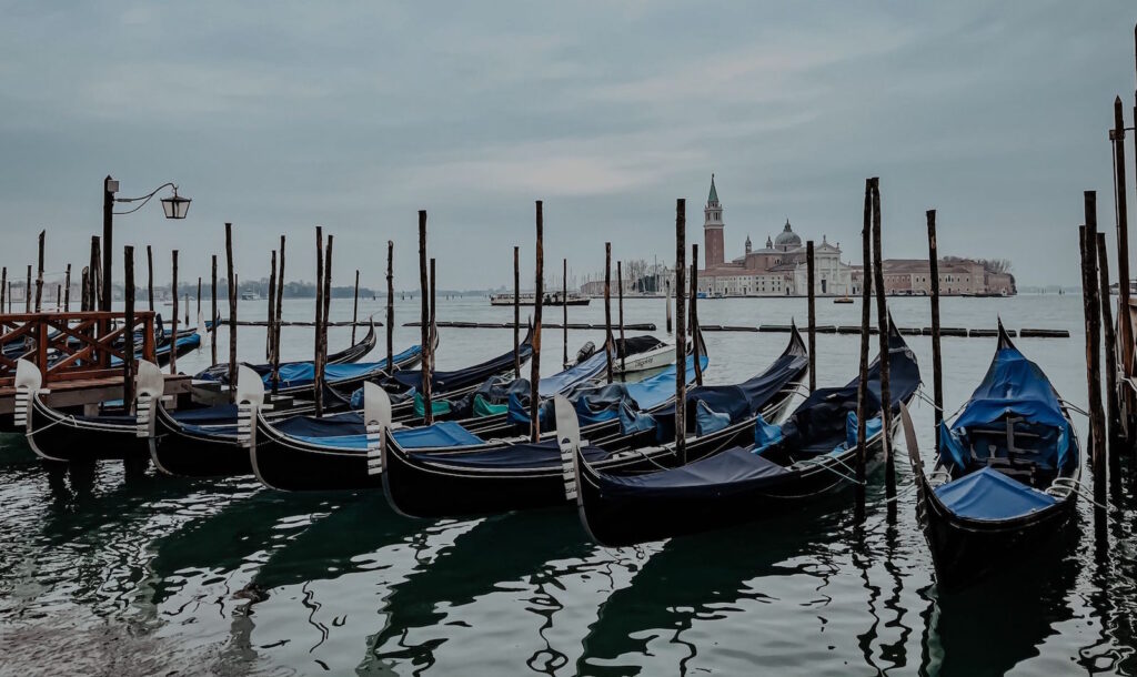 Venice and WWF- Together Against Plastic Pollution