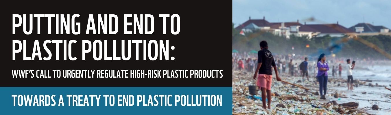 REPORT - Putting and end to plastic pollution