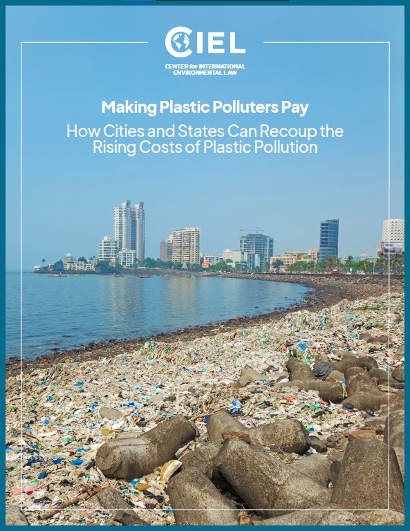 Making Plastic Polluters Pay: How Cities and States Can Recoup the Rising Costs of Plastic Pollution