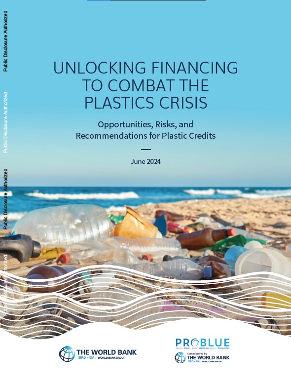 Unlocking Financing to Combat The Plastic Crisis: Opportunities, Risks, and Recommendation for Plastic Credits