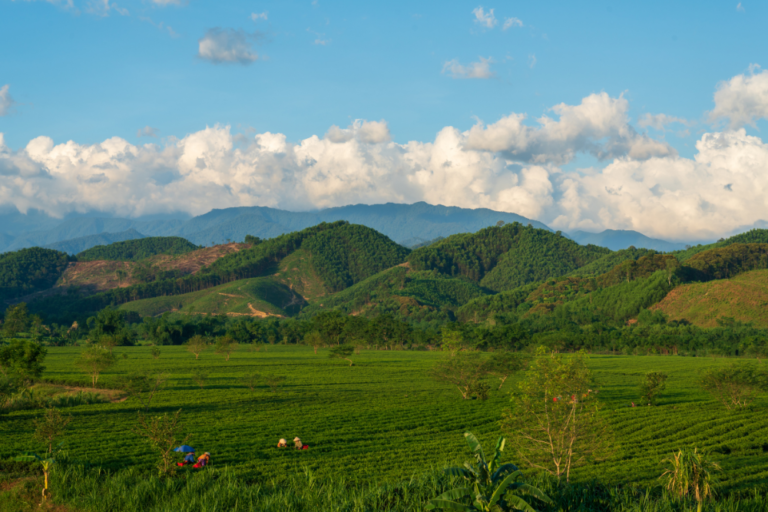 Ha Tinh