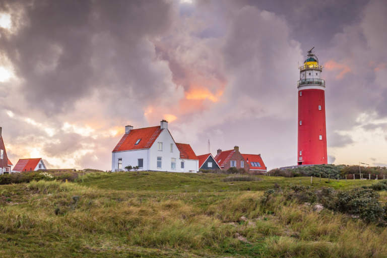 Texel