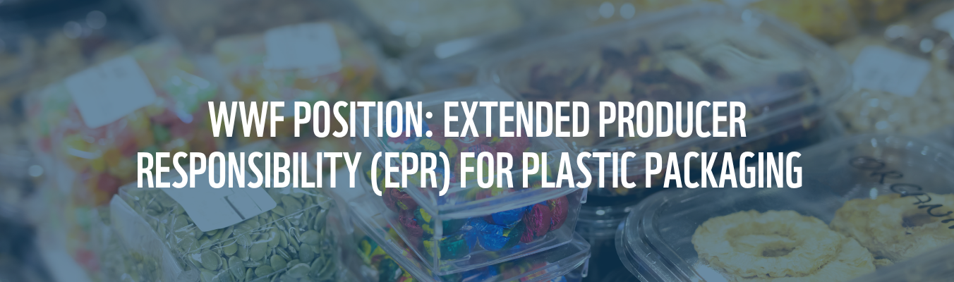 Extended Producer Responsibility (EPR) For Plastic Packaging