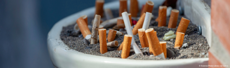 GR - Cigarette butt