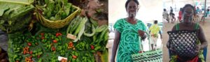 PSI Case Study - Solomon Island