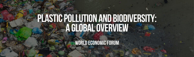 Plastic Pollution and Biodiversity a Global Overview